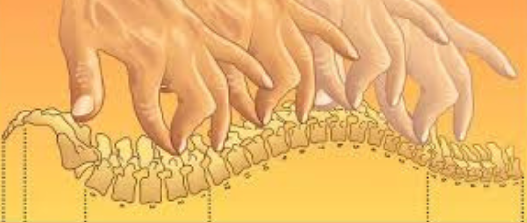 maestria-vertebral-zenith-vertebralis-cristina-de-la-villa-buenos-aires