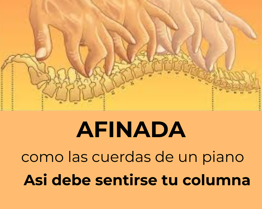 maestria-vertebral-zenith-vertebralis-cristina-de-la-villa-buenos-aires